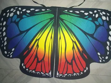 Butterfly Wings Costume for Kids