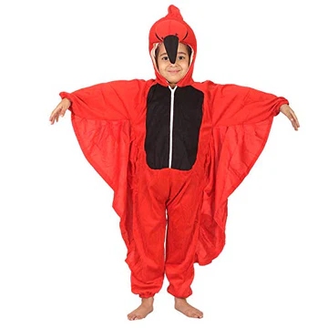 Eagle Costume for Kids