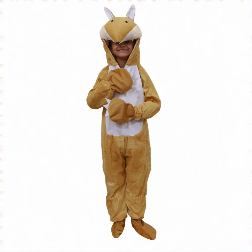 Fox Costume for Kids