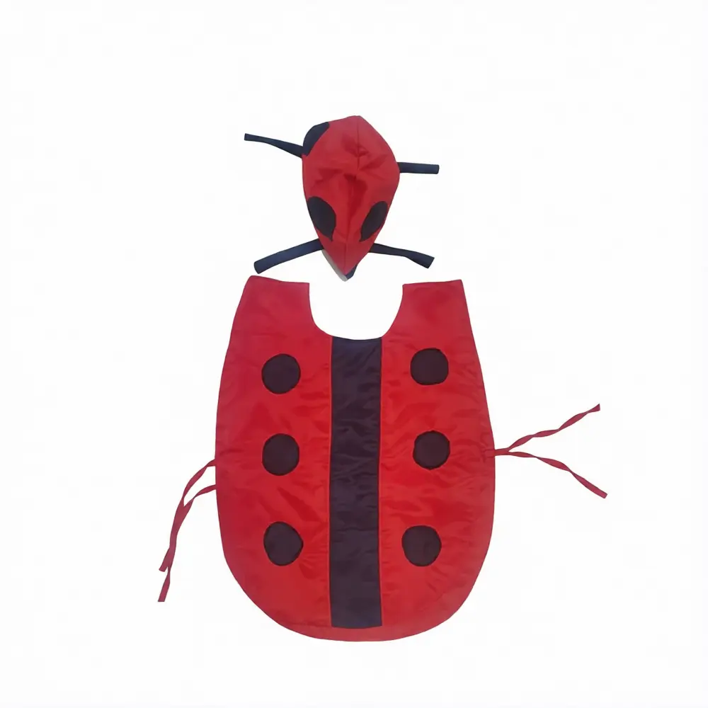 Ladybug Kids Costume