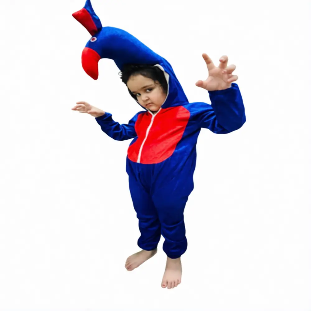 Peacock Costume for Kids