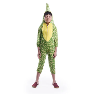 Tortoise Costume for Kids