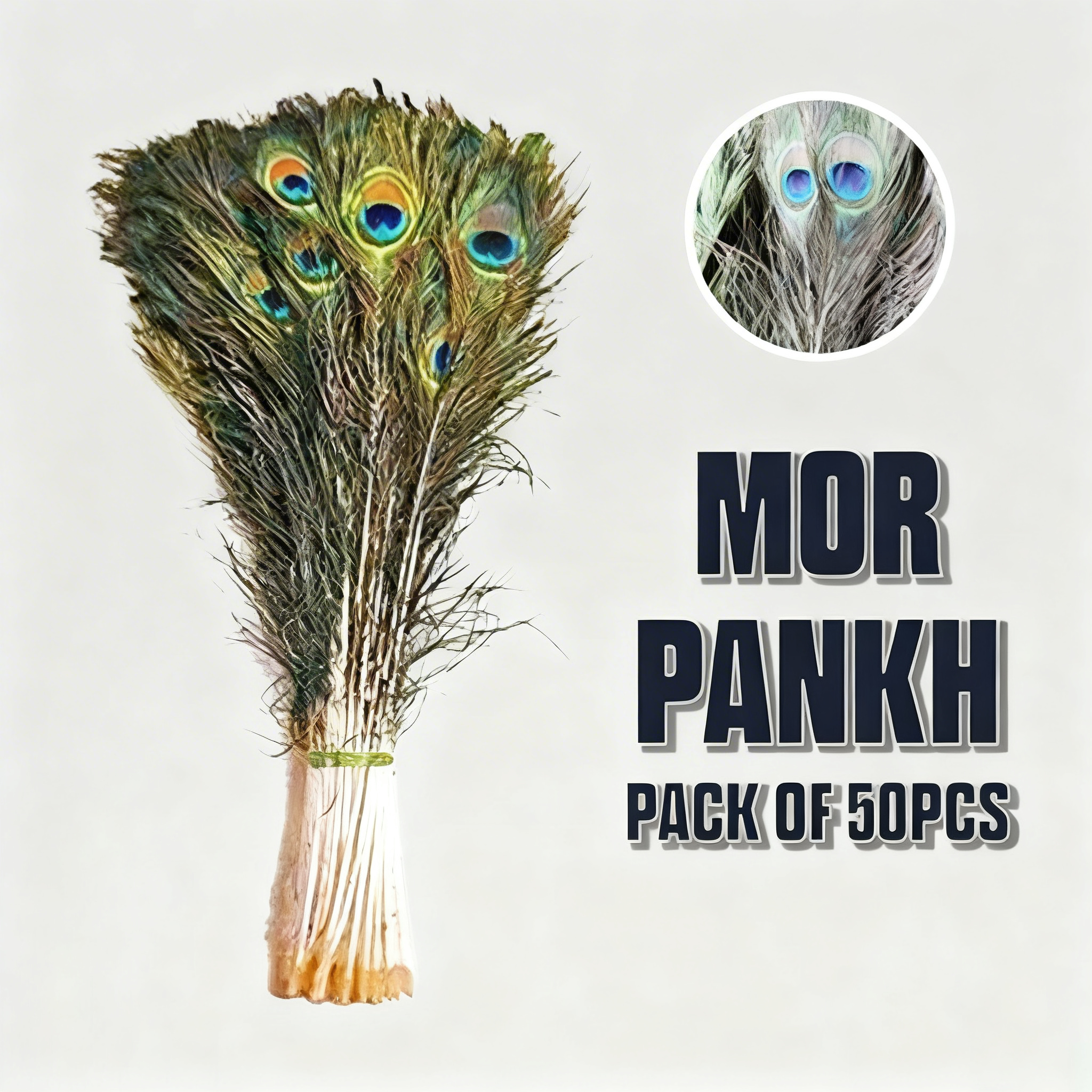 Mor Pankh